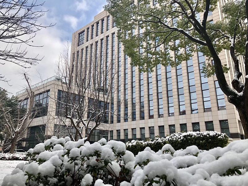 大楼雪景