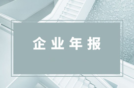 2020年上海力国公益基金会年报PDF
